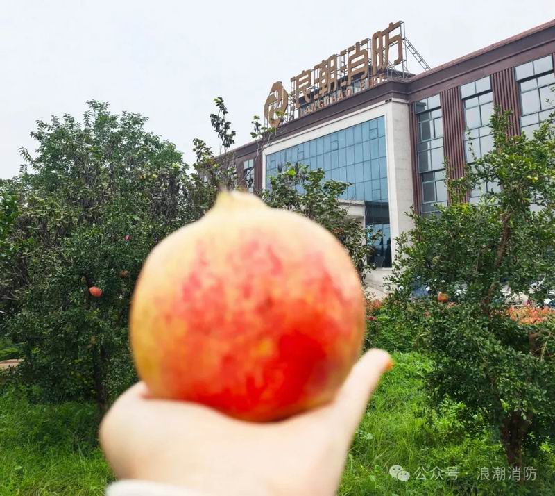1760341101807757.jpg 640_wx_fmt=jpeg&from=appmsg&watermark=1&tp=webp&wxfrom=5&wx_lazy=1.jpg